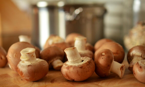 Смертельно опасное заболевание: не ешьте такие грибы, чтобы сохранить жизнь