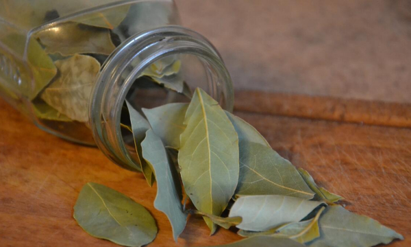 Зачем лавровый лист поджигают в доме: результат вас впечатлит