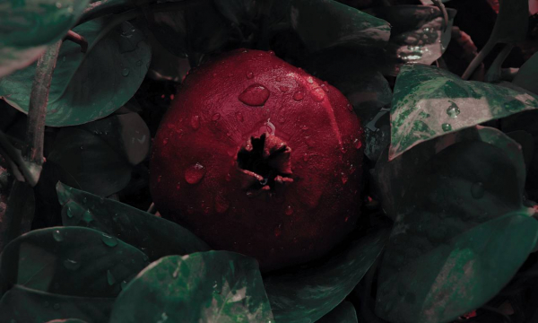 Врач развеял популярный миф о гранате