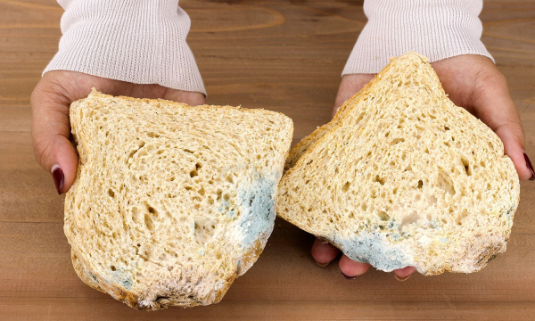 Что будет, если съесть немного заплесневелый хлеб: опасности и последствия