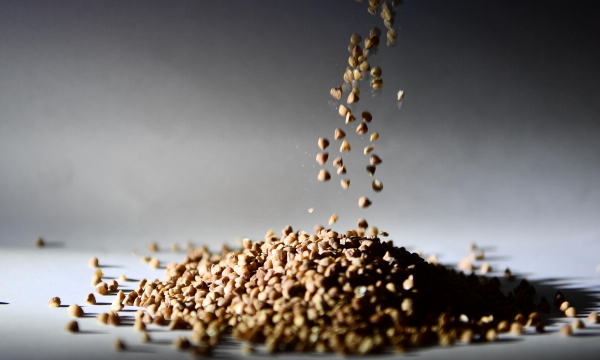 Врач рассказала о вреде гречки