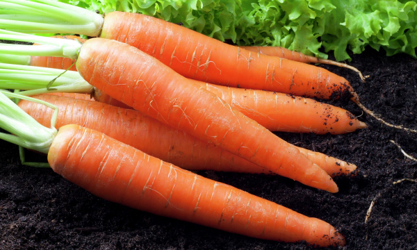 Назван незаменимый для кишечника и сосудов продукт